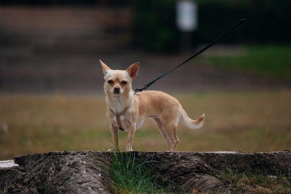 Découvrez le pouvoir du rituel d'ancrage en 5 minutes